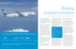Boeing : Aviation commerciale et environnement