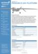 UAV Penguin B data sheet